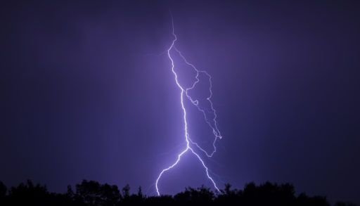 Lightning strike illuminates the silhouettes of trees.