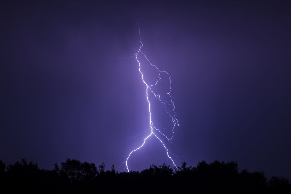 Lightning strike illuminates the silhouettes of trees.