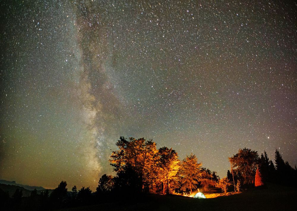 Tent and campfire surrounded by trees underneath a starry sky.