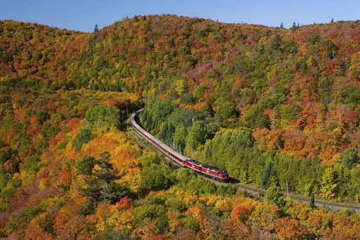 Agawa Canyon Tour Train