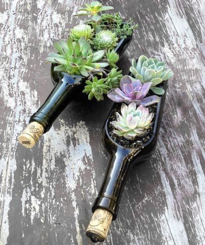 Succulent planter