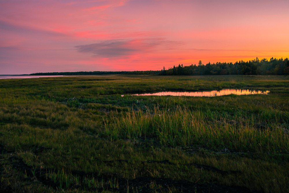 Orange and pink sunset over a marsh in Kouchibouguac National Park, New Brunswick.