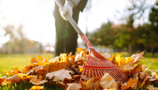 Low angle view of a person raking a pile of orange leaves.