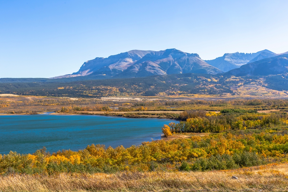 Autumn landscape in front of a mountain in Waterton Lakes National Park, Alberta.