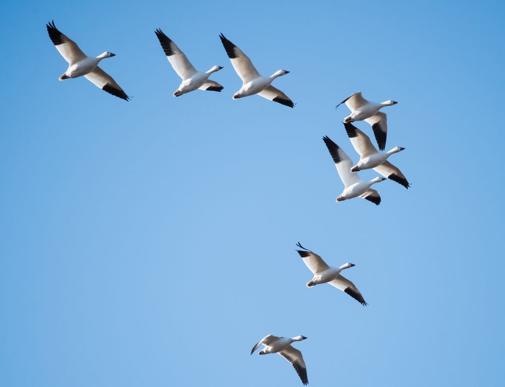 The birdwatching is unparalleled