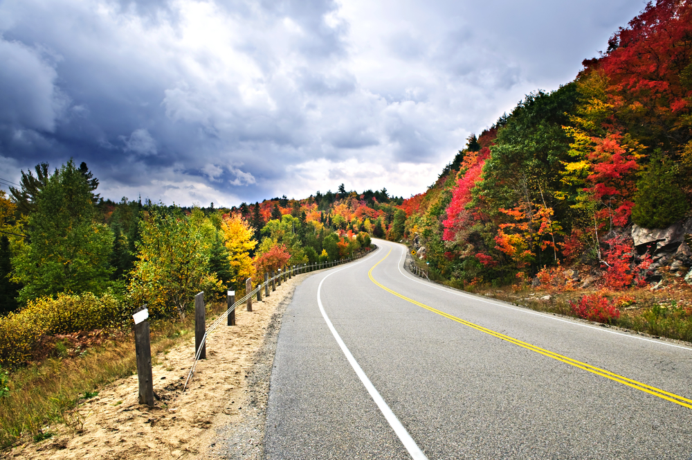 A highway on the side of a hill next to red and green-coloured trees.