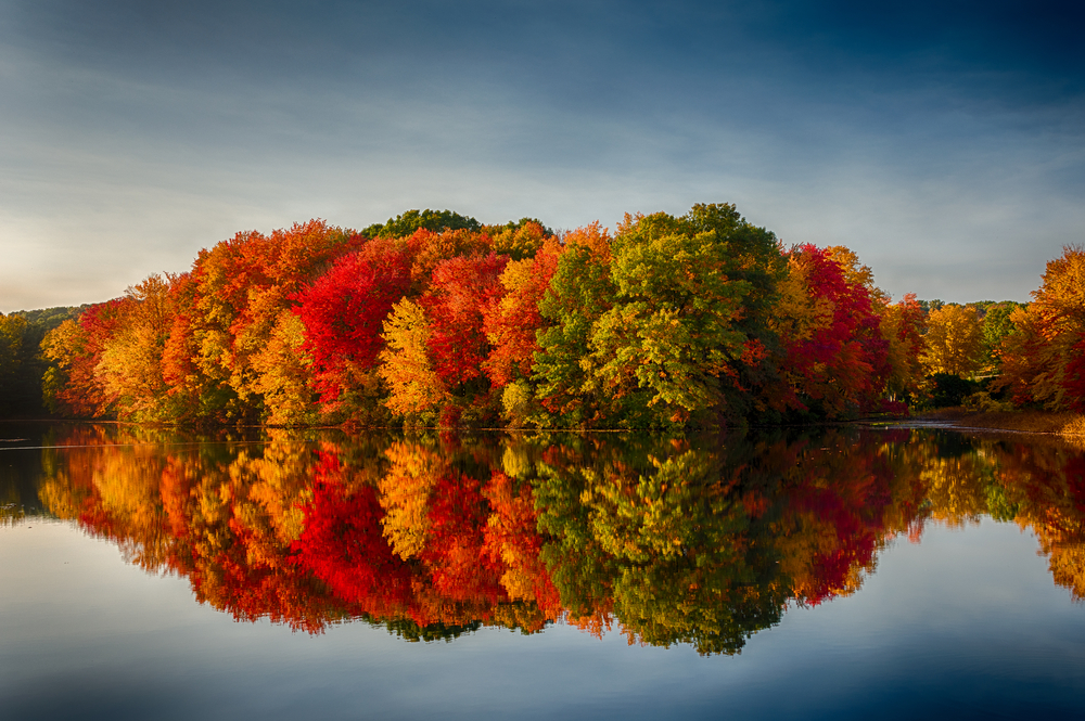 Red and green trees reflecting in the still water of a lake.