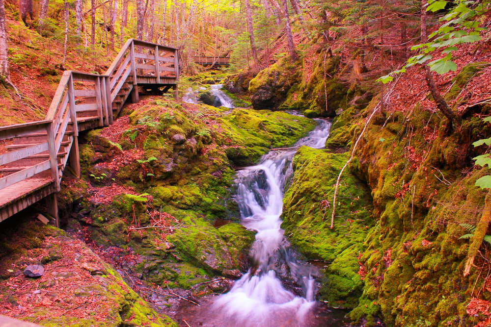 Dickson Falls during autumn in Fundy National Park, New Brunswick.