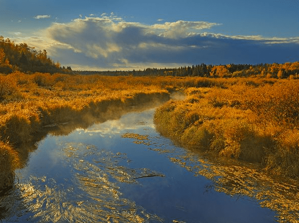 Prince Albert National Park, Saskatchewan