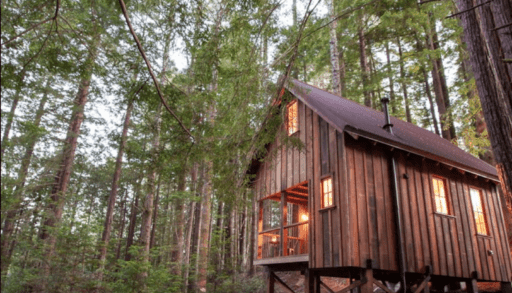 The exterior frontal view of the Owl Tree cabin.