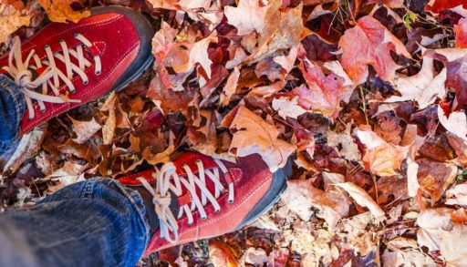 Overhead view of a person with red shoes standing in a pile of red leaves.