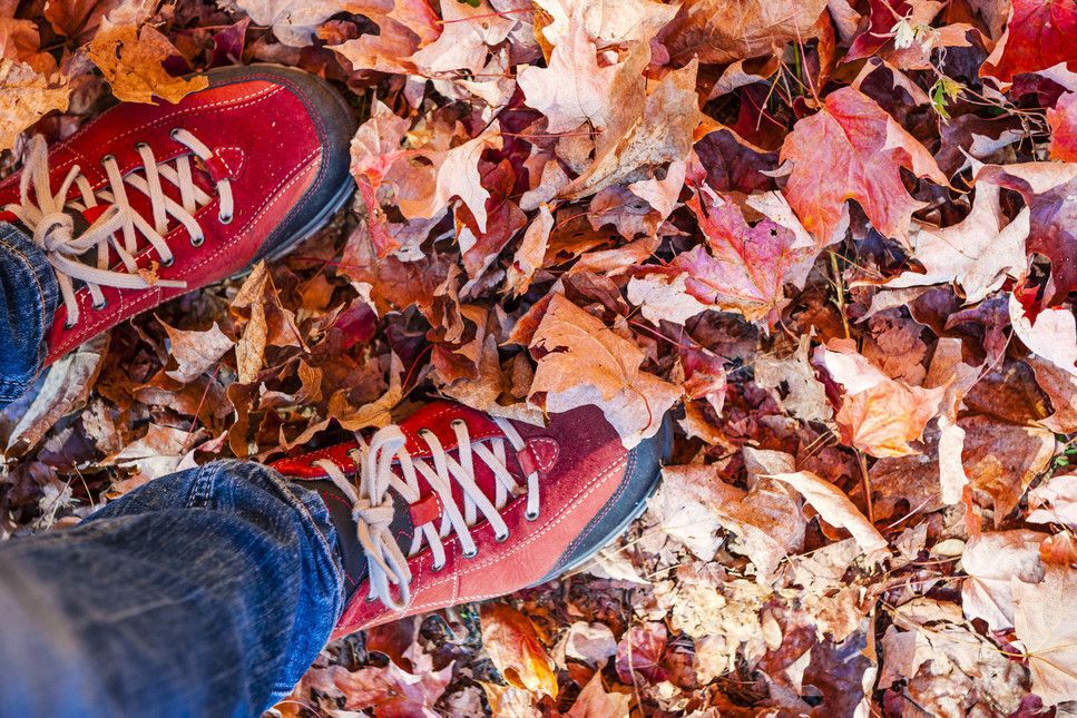 Overhead view of a person with red shoes standing in a pile of red leaves.