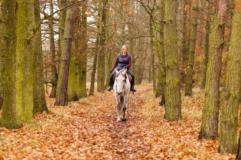 Woman horseback riding through an autumn forest.
