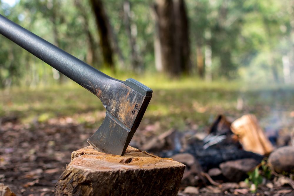 A silver axe stuck in a piece of wood next to a pile of chopped wood in the forest.