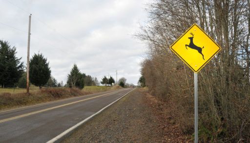 A yellow deer crossing sign next to a highway.
