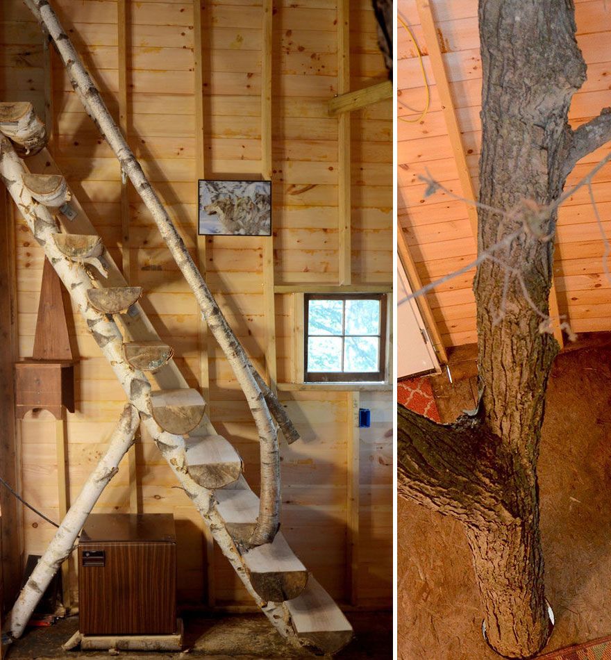 It's still a treehouse