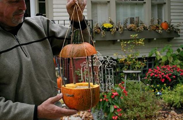 Pumpkin bird feeder