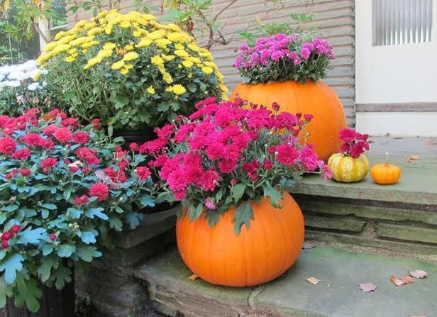 Pumpkin planter