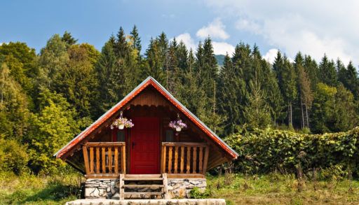 A small, wooden cabin surrounded by trees on a sunny day.