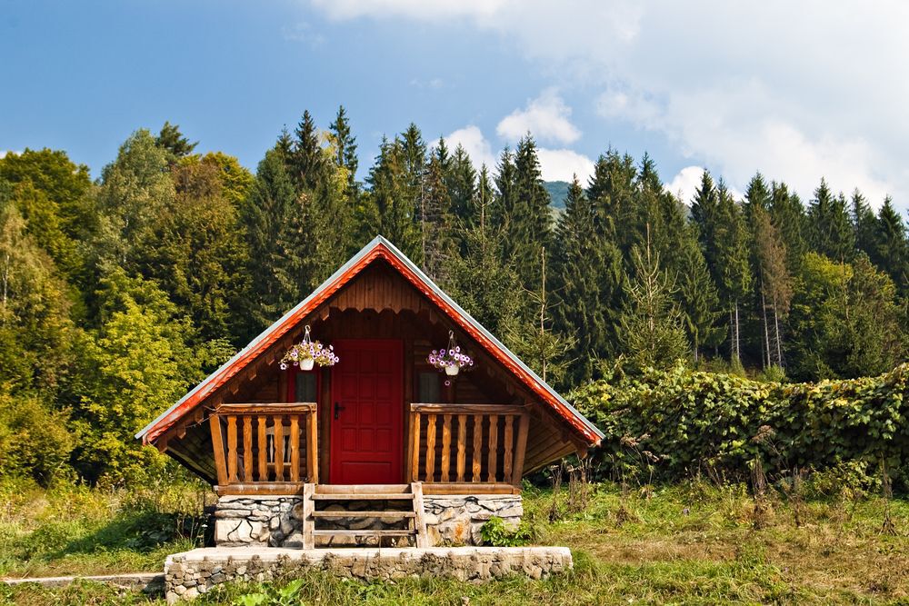 A small, wooden cabin surrounded by trees on a sunny day.