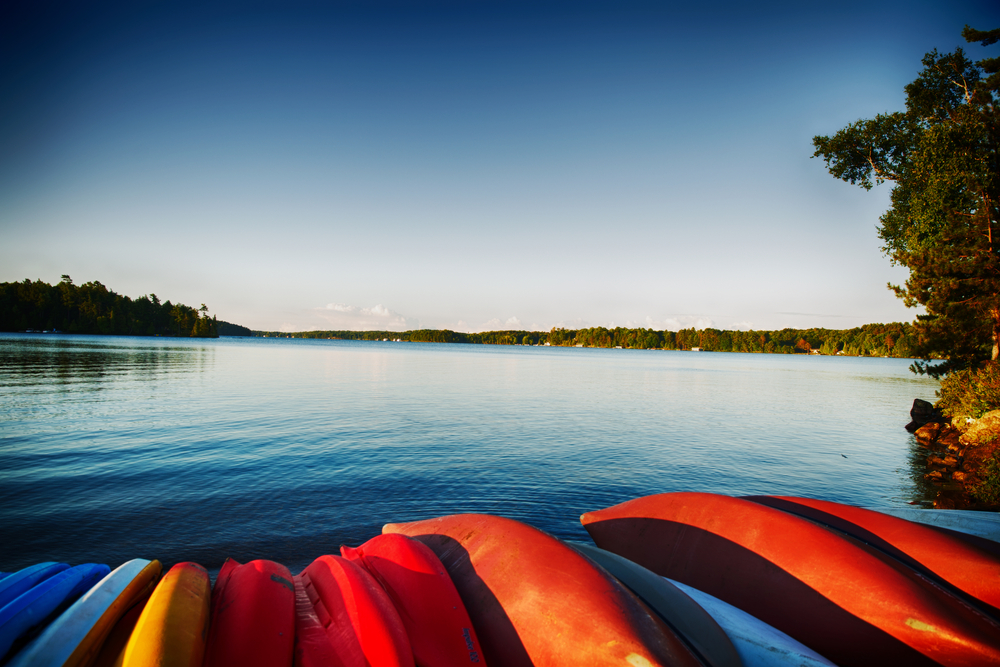 Red and blue canoes lined up along the shore of Lake Rousseau, Ontario.
