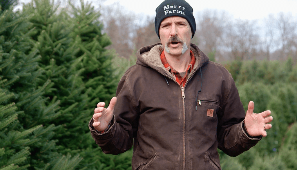 Picking the perfect Christmas tree