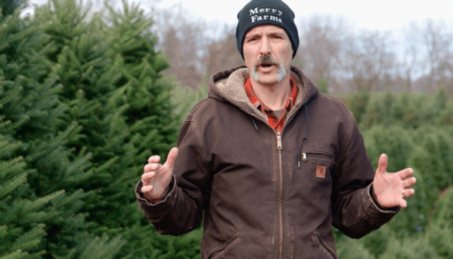Picking the perfect Christmas tree