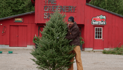 Tips for the perfect pre-cut Christmas tree