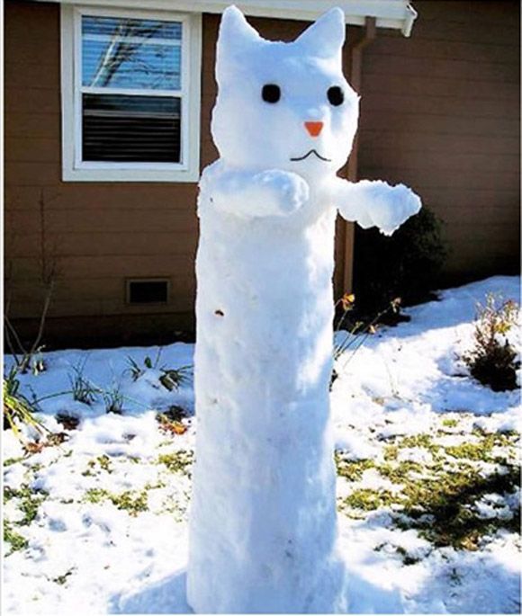 Cat snowman