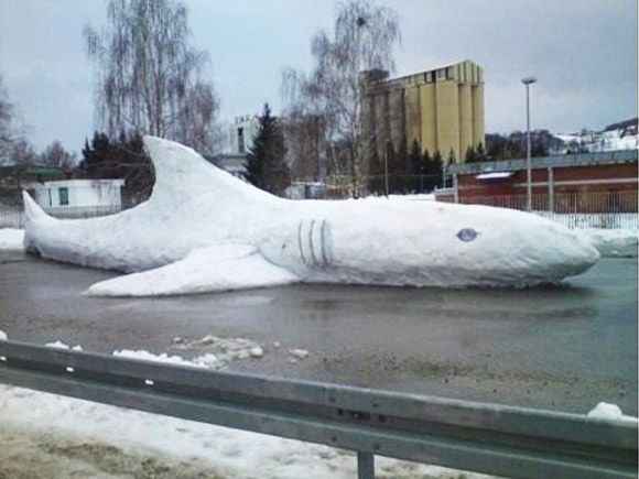 Giant snow shark on a road