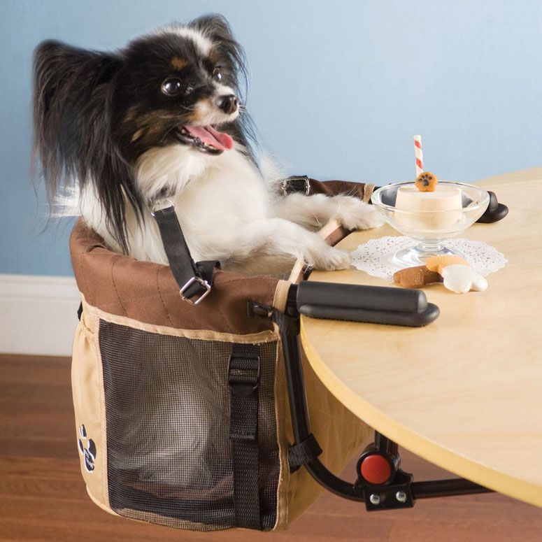 dog high chair