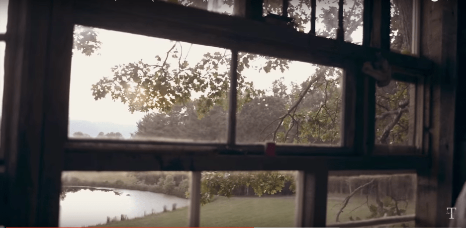 Trees and a pond, seen through a window