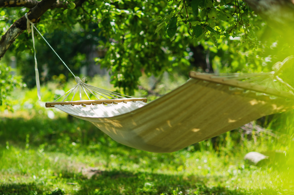 Hammock suspended between two trees in a green and grassy forest.