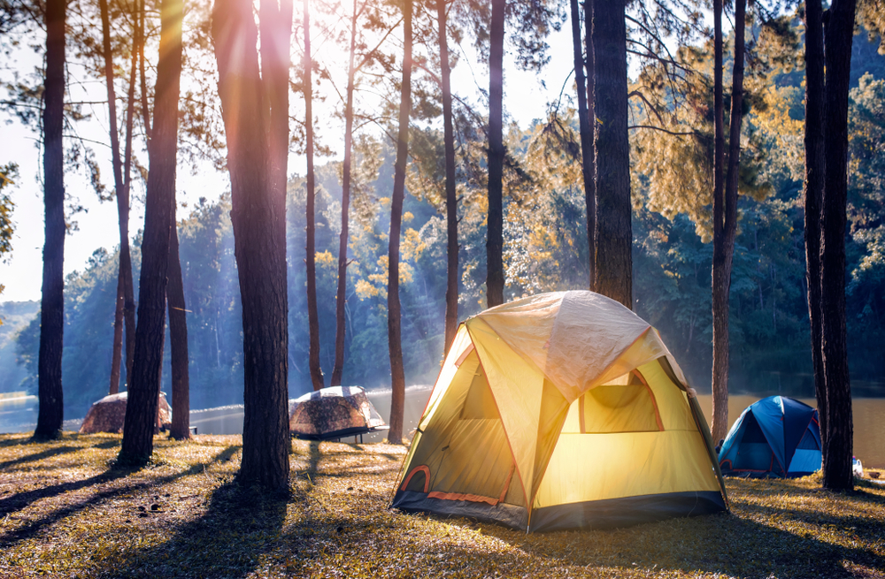 Yellow tent nestled in a forest in the summer.