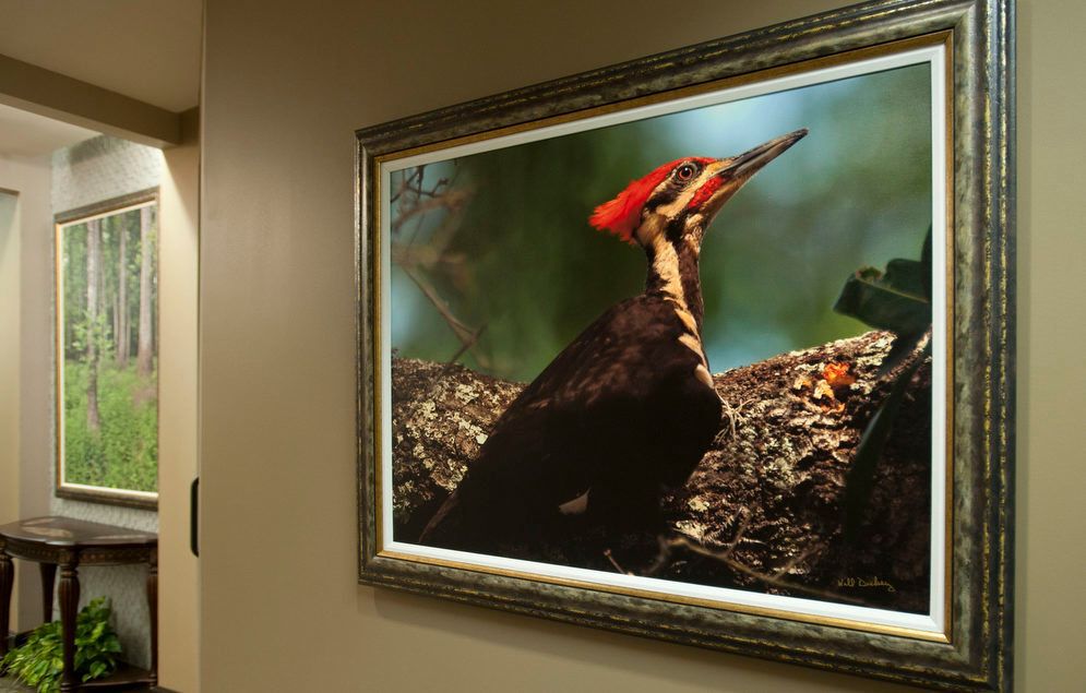 nature photograph in frame