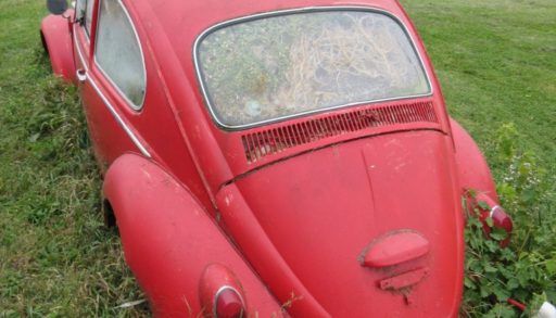 red car overgrown with grass and flowers