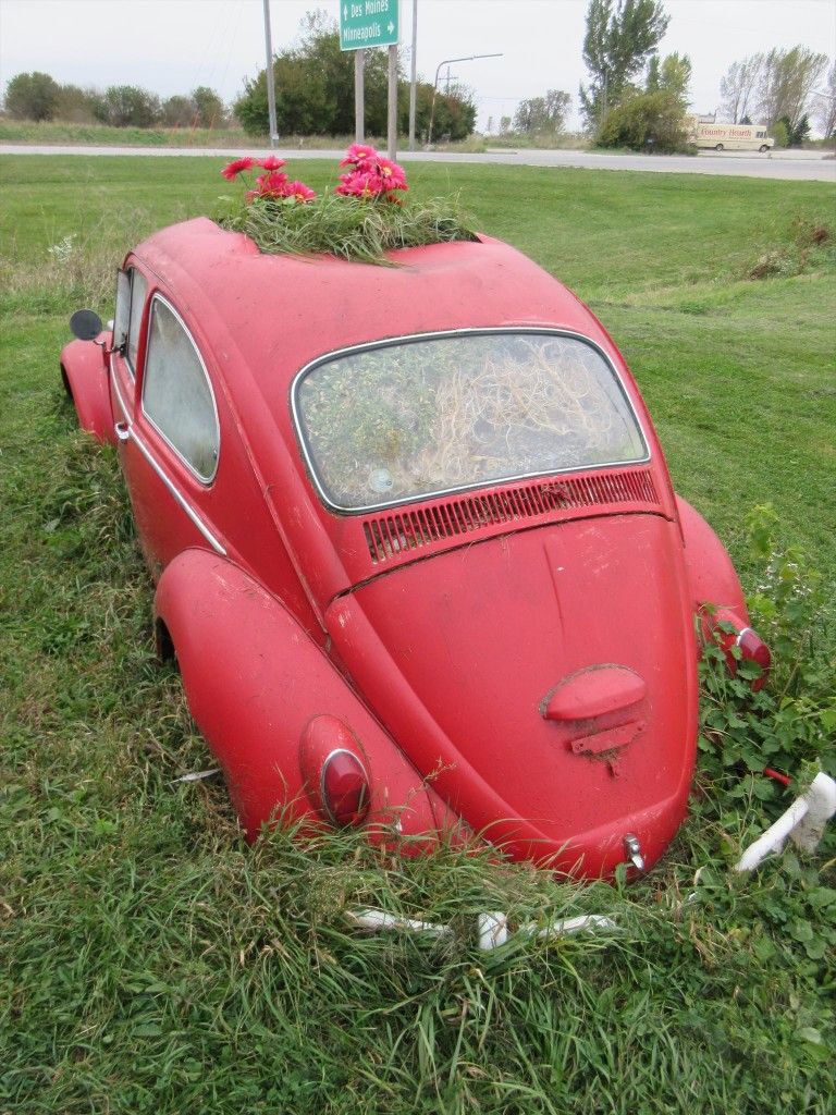 red car overgrown with grass and flowers