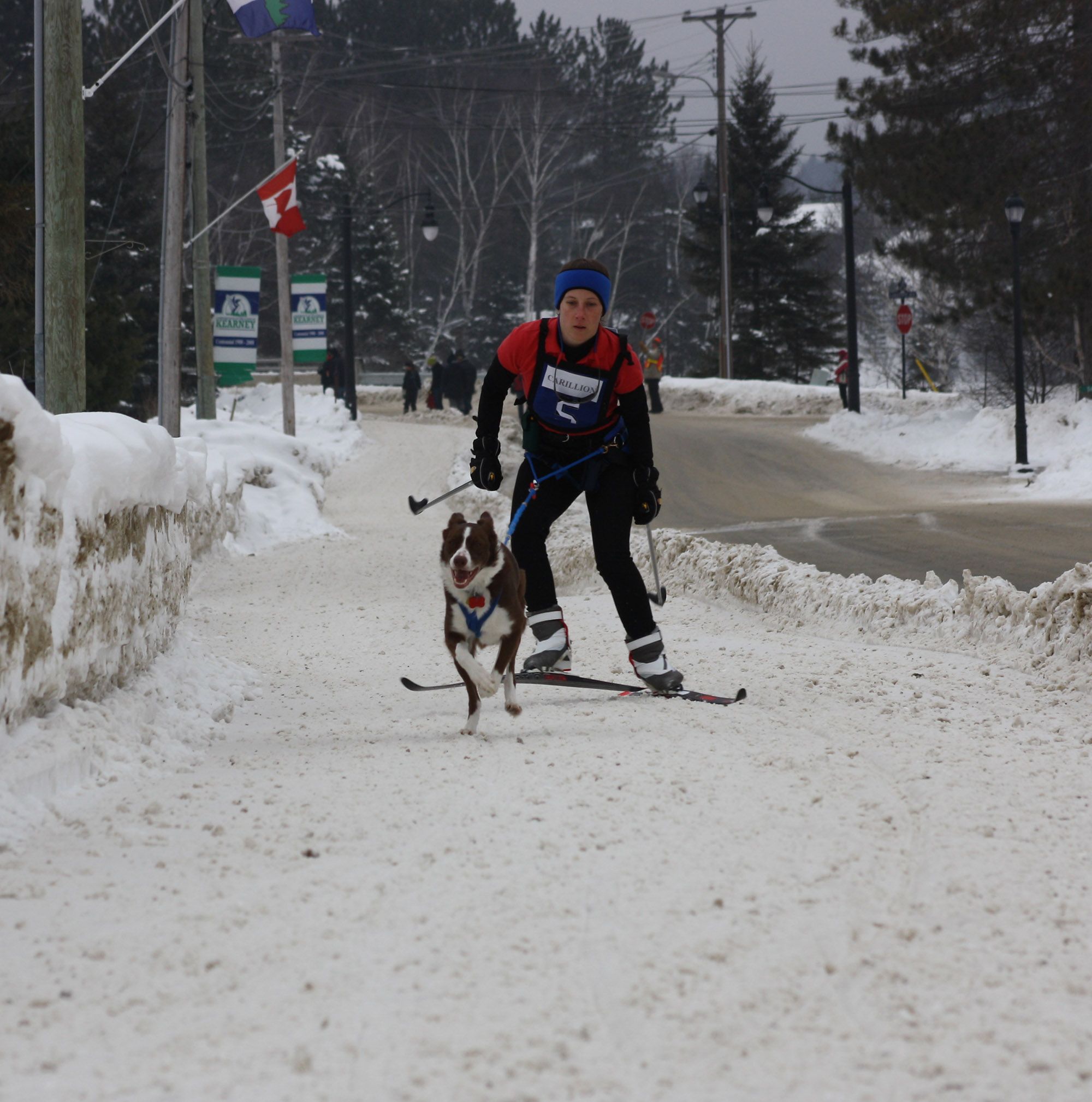 skijoring