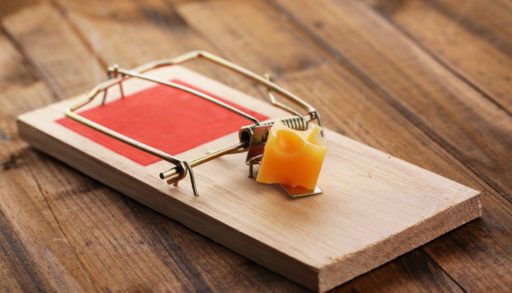 Close-up of a wooden mouse trap with a piece of orange cheese.