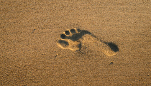 One human footprint in the sand on a beach at sunset.
