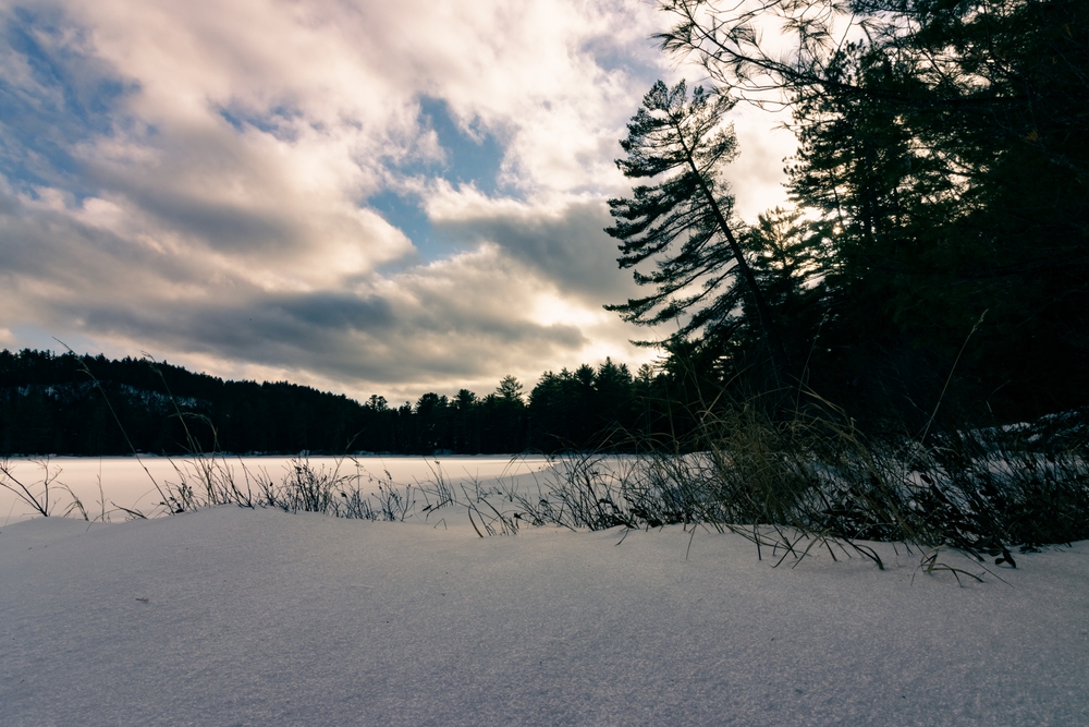 Green pine trees hang over frozen lake in the winter.