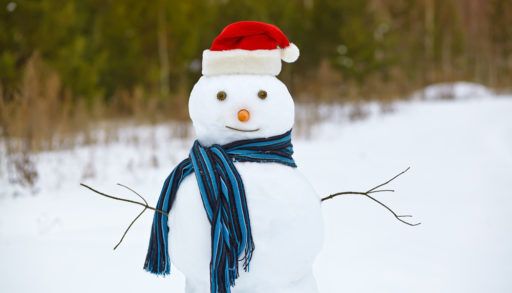 surprising facts about snowmen