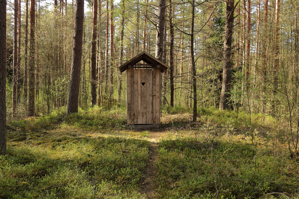 A wooden outhouse with a heart cutout on the door in the middle of a forest.