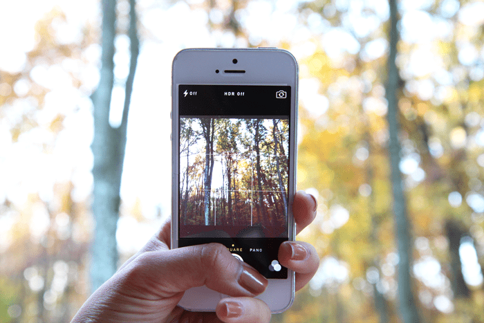 Hand taking photo with phone