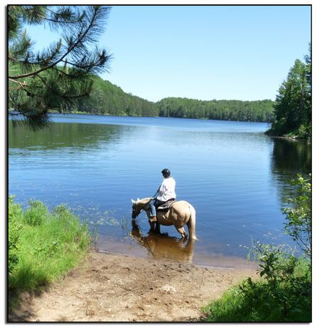 Person on horse in a lake