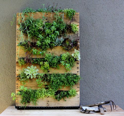 Pallet planter garden