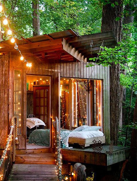 Wooden shed with fairy lights