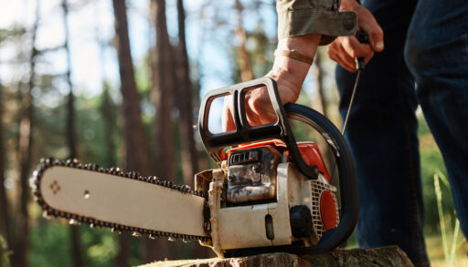 Person grabbing a chain saw sitting on a tee stump in a forest.