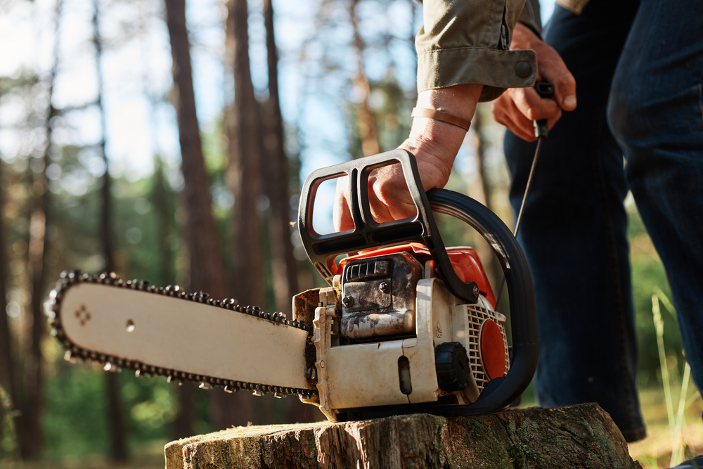Person grabbing a chain saw sitting on a tee stump in a forest.