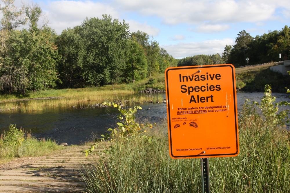 Neon orange sign that reads "Invasive Species Alert" on the shore of a lake.